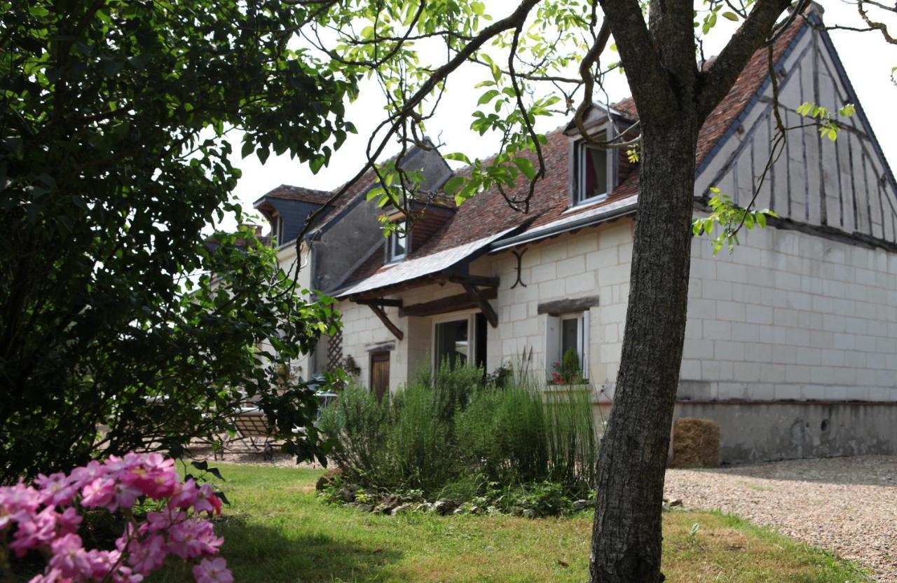 Une Maison, Un Jardin Berthenay Exterior photo