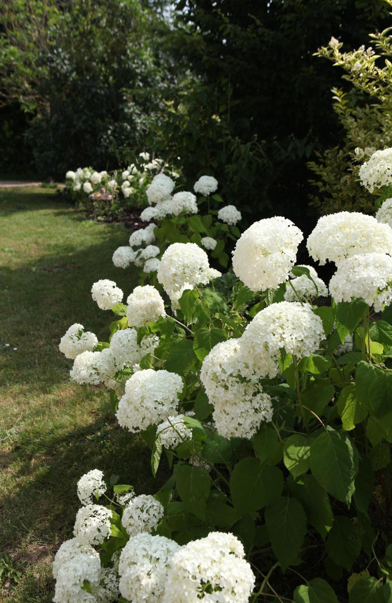 Une Maison, Un Jardin Berthenay Exterior photo